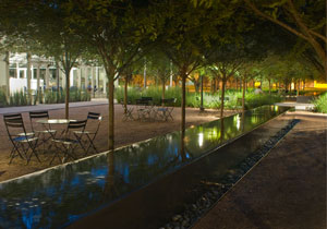 Rice University