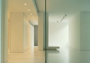 Park Avenue Apartment