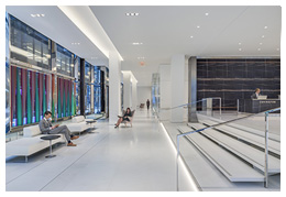 The Barnes Foundation