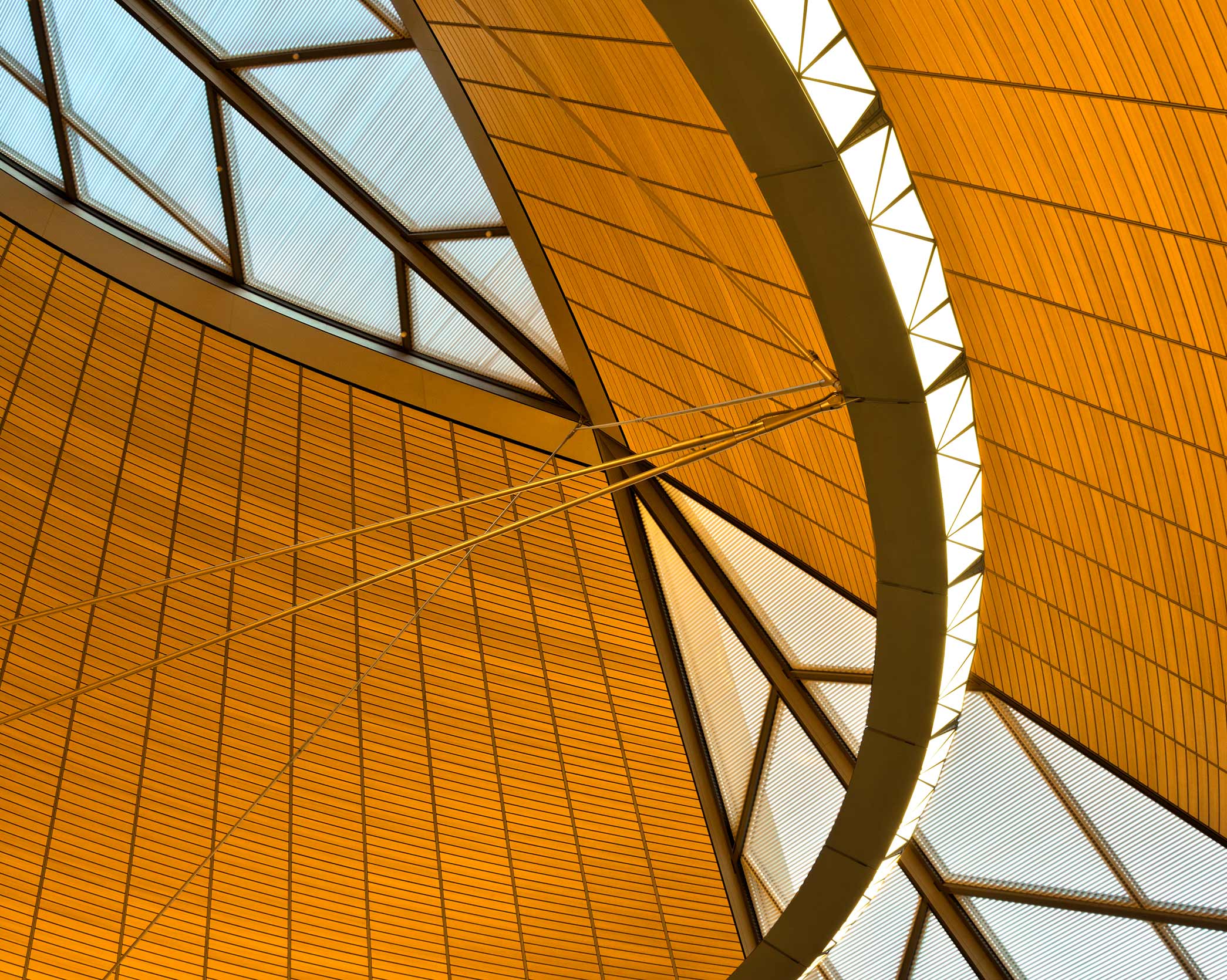 Miho Institute of Aesthetics - Chapel_FEATURE